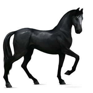 cavallo da corsa nokota baio scuro