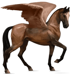 pegaso da corsa akhal-teke baio