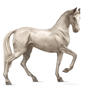 cavallo da corsa cremello