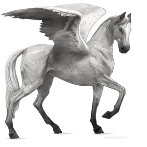 pegaso da corsa cavallo arabo grigio puntellato