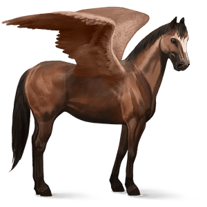 pegaso da corsa paint horse overo castano chiaro