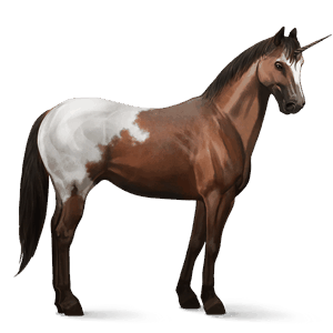 unicorno da corsa appaloosa manto castano