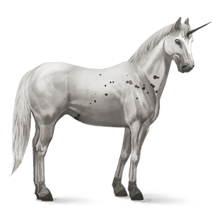 unicorno da corsa appaloosa poche macchie