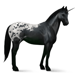 unicorno da corsa appaloosa manto nero maculato