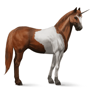 unicorno da corsa paint horse castano tobiano