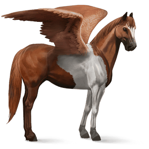 pegaso da corsa paint horse tobiano baio