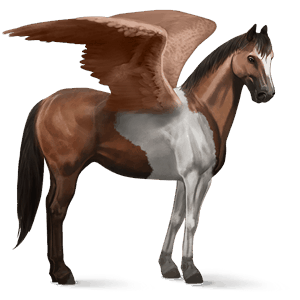 pegaso da corsa paint horse tobiano baio