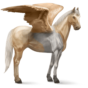 pegaso da corsa misaki baio scuro