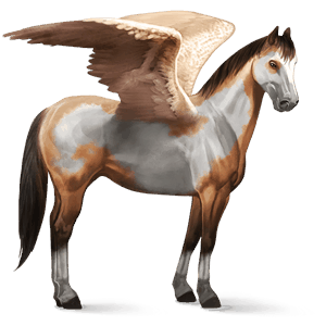 pegaso da corsa paint horse overo daino