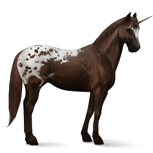 unicorno da corsa appaloosa manto palomino maculato