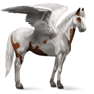 pegaso da corsa paint horse tobiano baio