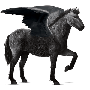 pegaso da corsa curly nero