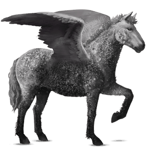 pegaso da corsa curly grigio pezzato