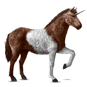 unicorno da corsa curly castano tobiano