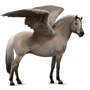 pegaso pony grigio pezzato