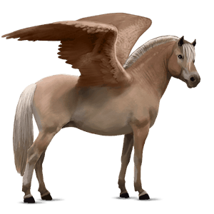 pegaso pony welsh baio scuro