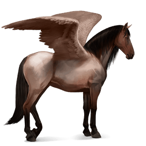 pegaso da corsa akhal-teke palomino