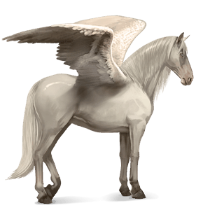 pegaso da corsa lusitano baio