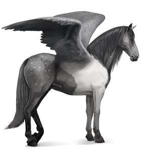 pegaso da corsa lusitano grigio chiaro