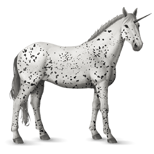 unicorno da corsa leopard nero