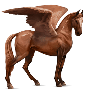 pegaso da corsa castano