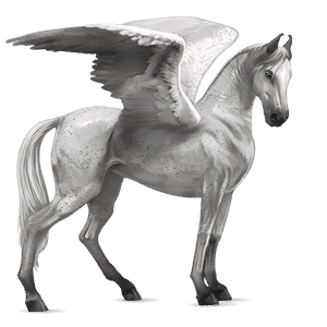 pegaso da corsa hunter irlandese grigio puntellato