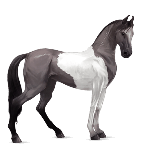 cavallo da corsa paint horse tobiano grigio pezzato