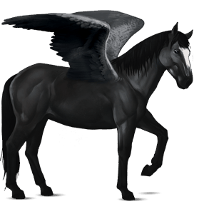 pegaso da corsa nokota nero