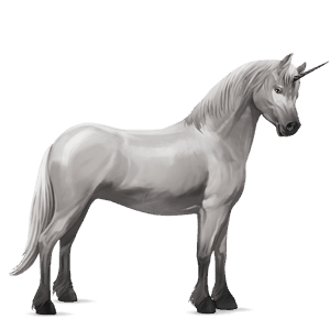 unicorno pony welsh grigio chiaro