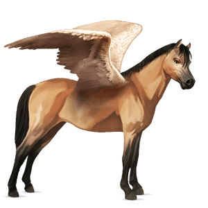 pegaso pony welsh daino