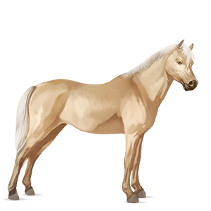 pony haflinger castano biondo platino