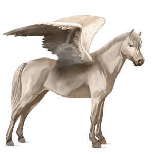 pegaso pony welsh baio scuro