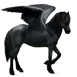 pegaso da corsa akhal-teke grigio chiaro