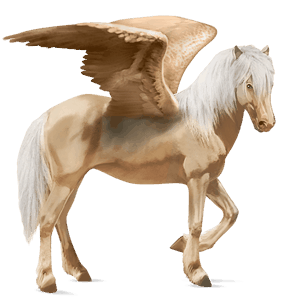 pegaso da corsa castano