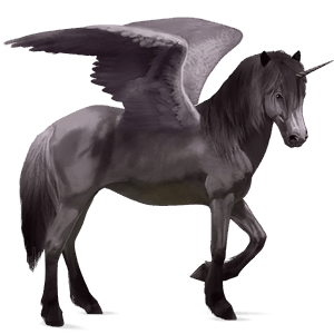 unicorno da corsa alato curly grigio pezzato