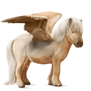 pegaso pony shetland palomino