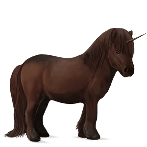 unicorno pony shetland baio scuro