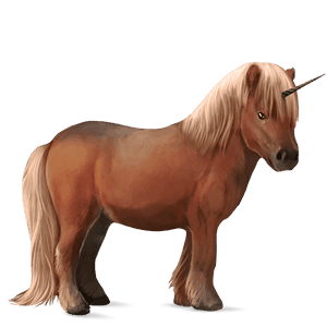 unicorno pony haflinger castano biondo platino