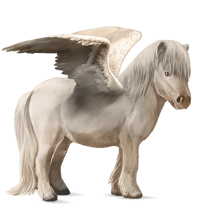 pegaso pony shetland cremello