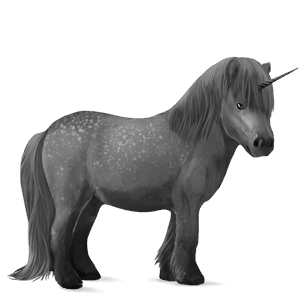 unicorno pony shetland grigio pezzato