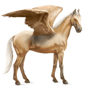 pegaso da corsa hunter irlandese baio