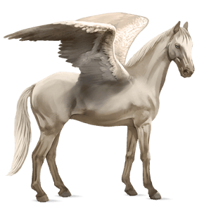 pegaso da corsa hanoverian grullo