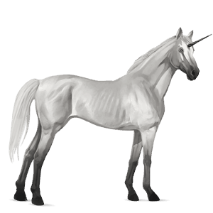 unicorno da corsa grigio chiaro