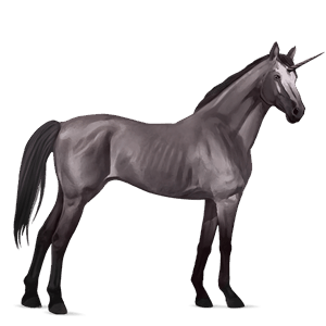 unicorno da corsa grigio pezzato