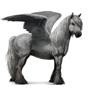 pegaso da tiro percheron grigio pezzato