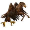 aquila, cavallo selvaggio