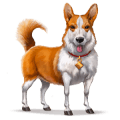 welsh corgi, cavallo selvaggio