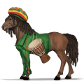 reggae, cavallo errante