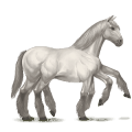 sleipnir bianco