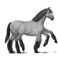 sleipnir grigio